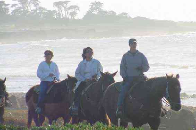 trailride